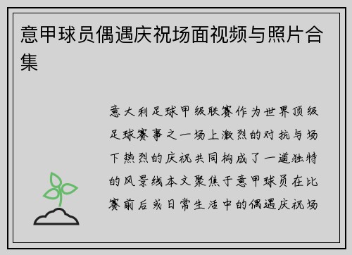 意甲球员偶遇庆祝场面视频与照片合集