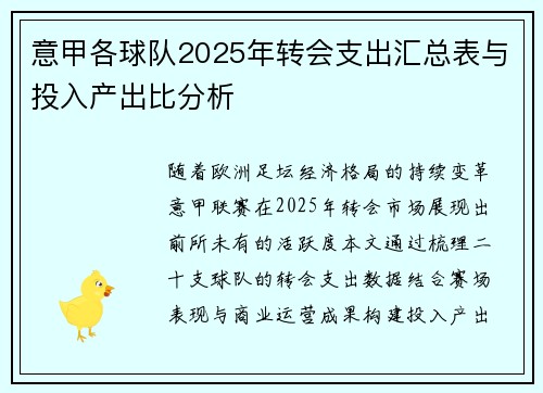 意甲各球队2025年转会支出汇总表与投入产出比分析